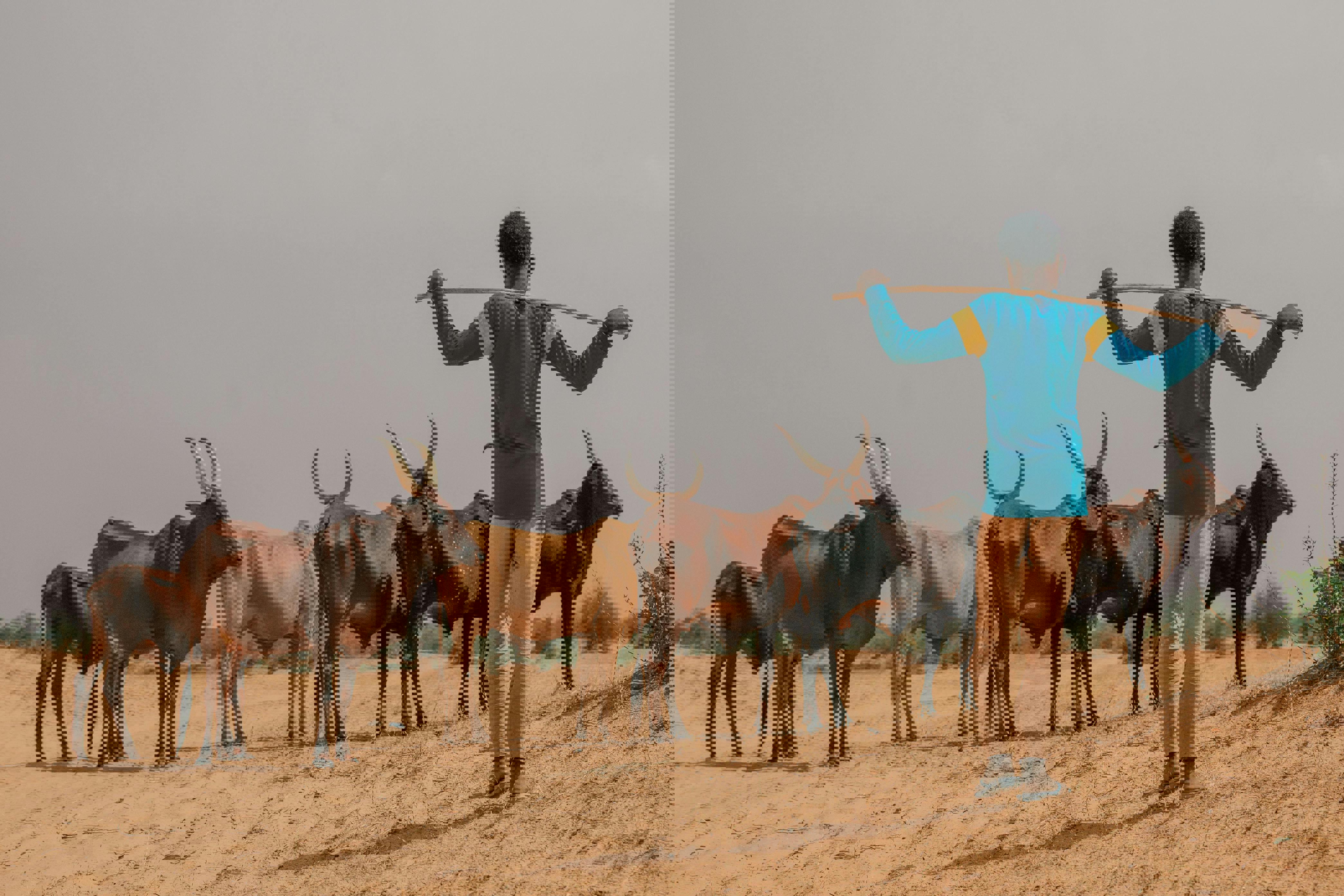 /media/0esncxfk/pexels-alameenng-32449354.jpg