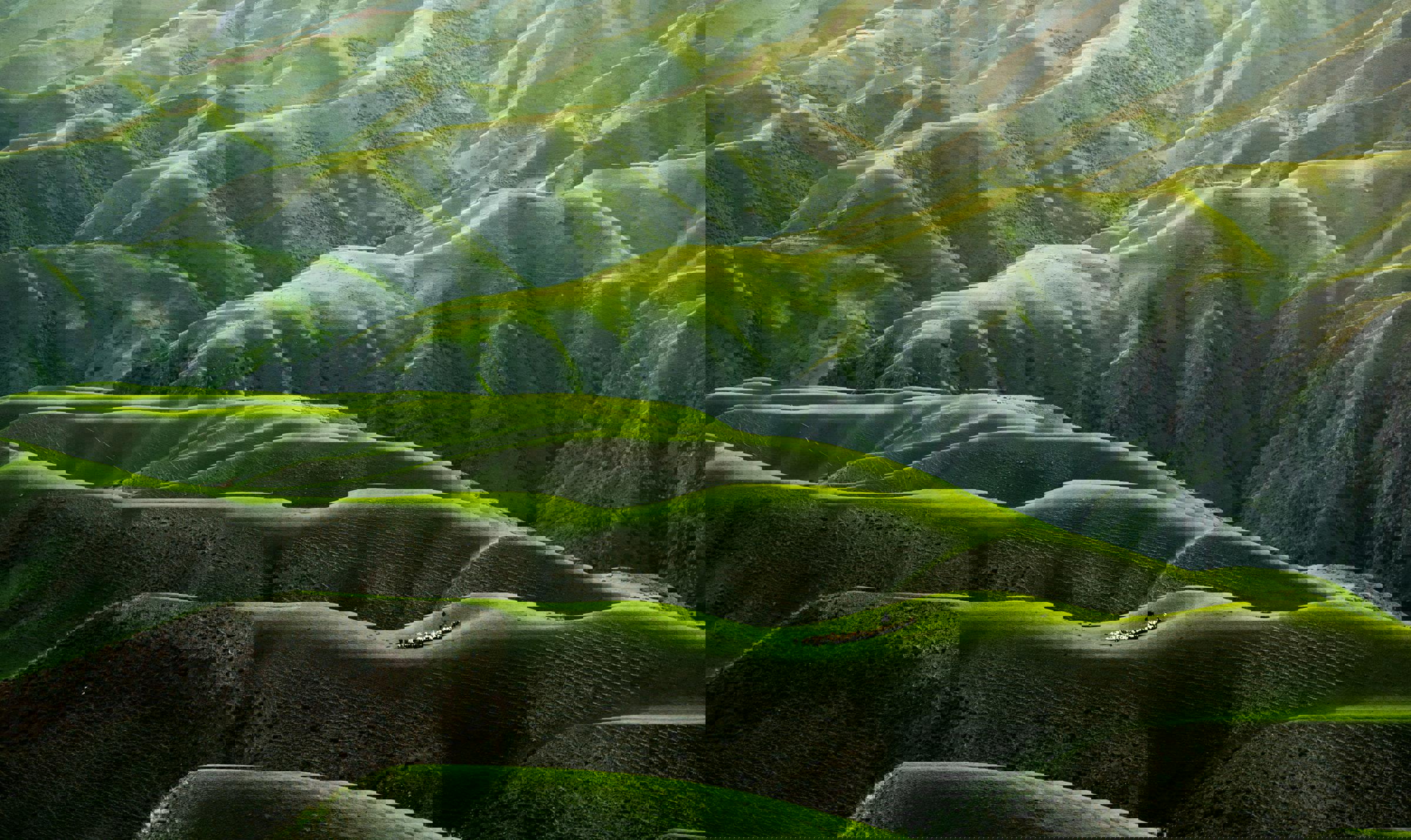 /media/0u4bdw14/qingbao-meng-01_igfr7hd4-unsplash.jpg