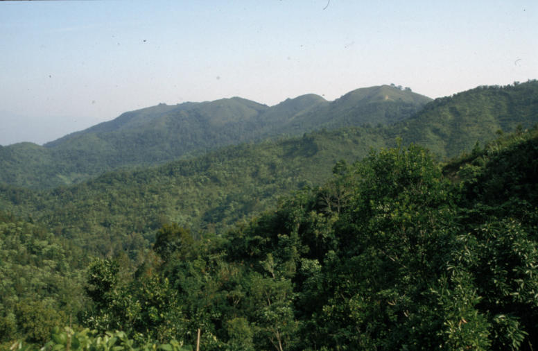 /media/1rjlj1sw/acrisols-hills-china.jpg