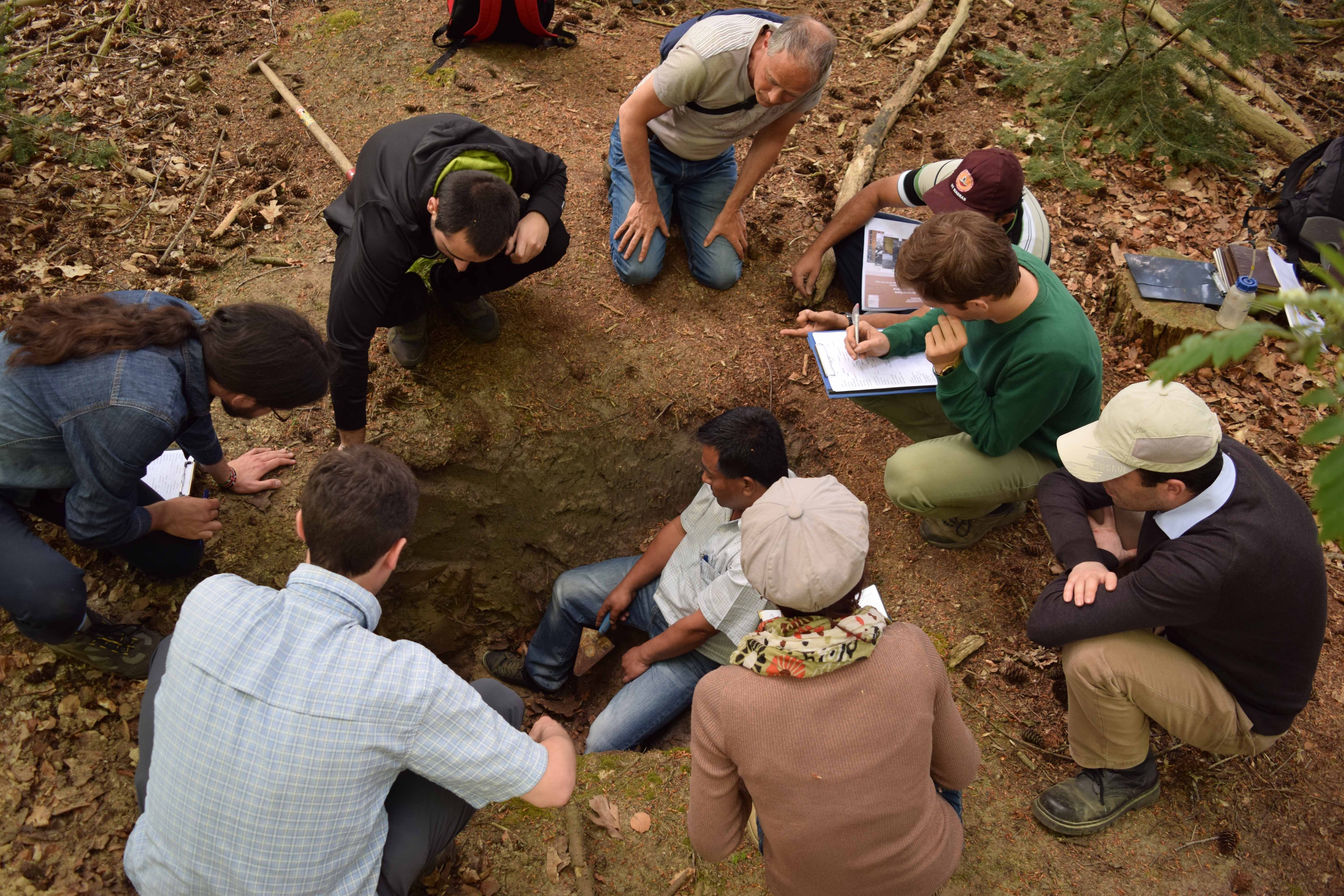 Soil description in a soil pit in the Netherlands