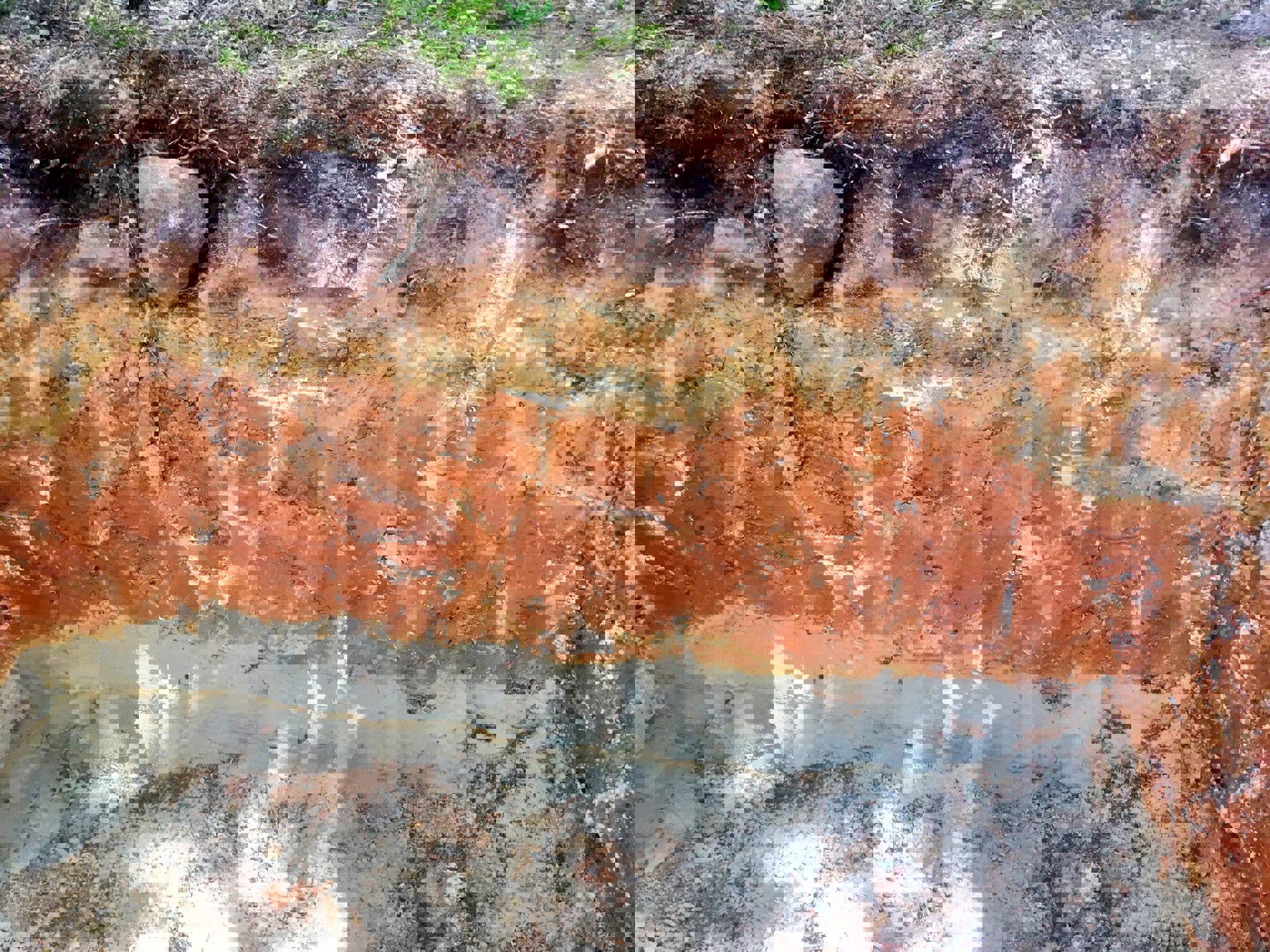 /media/bqdjhjhy/soil-color_5_layered-soil_latvia.jpg