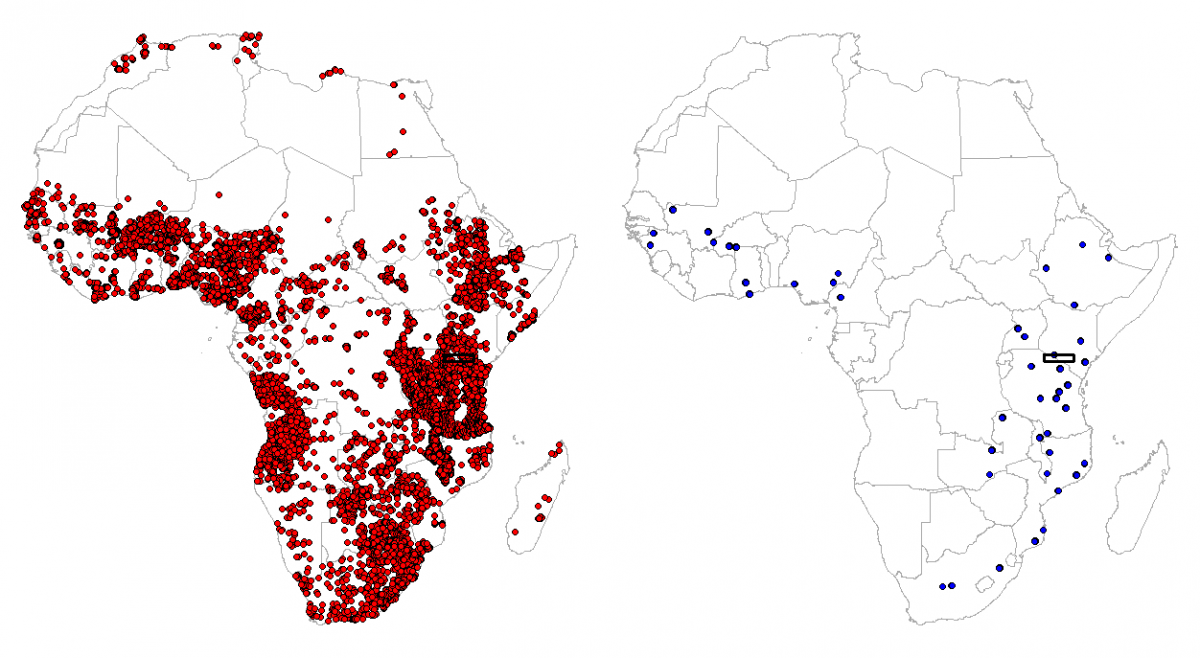 /media/ddzfa5mg/fig_africa_points_only.png