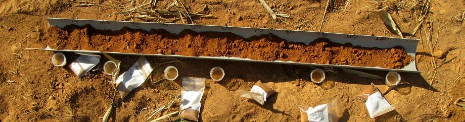 /media/ll3n30zr/maguvani_soil_auger_profile_sampling_and_analysis_weilhor.jpg