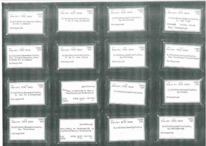 /media/nnjbtcez/boxes-with-labels-from-the-mohr-sample-collection.png