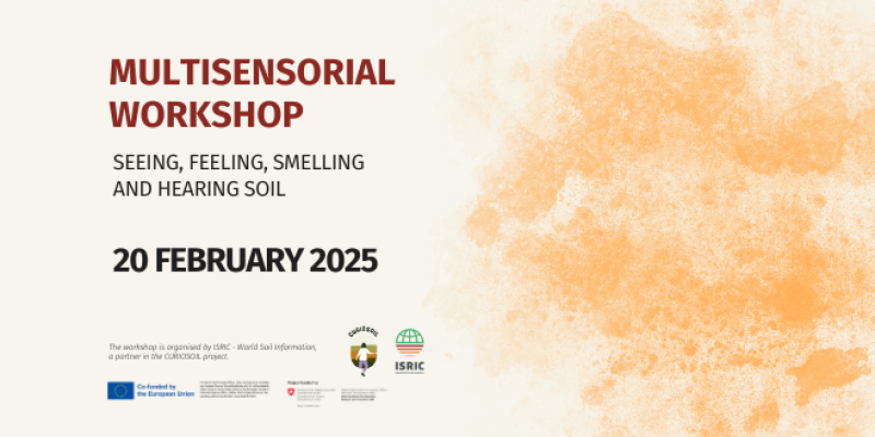 /media/ousn0rk3/isric_curiosoil_sensorial_workshop_1.png