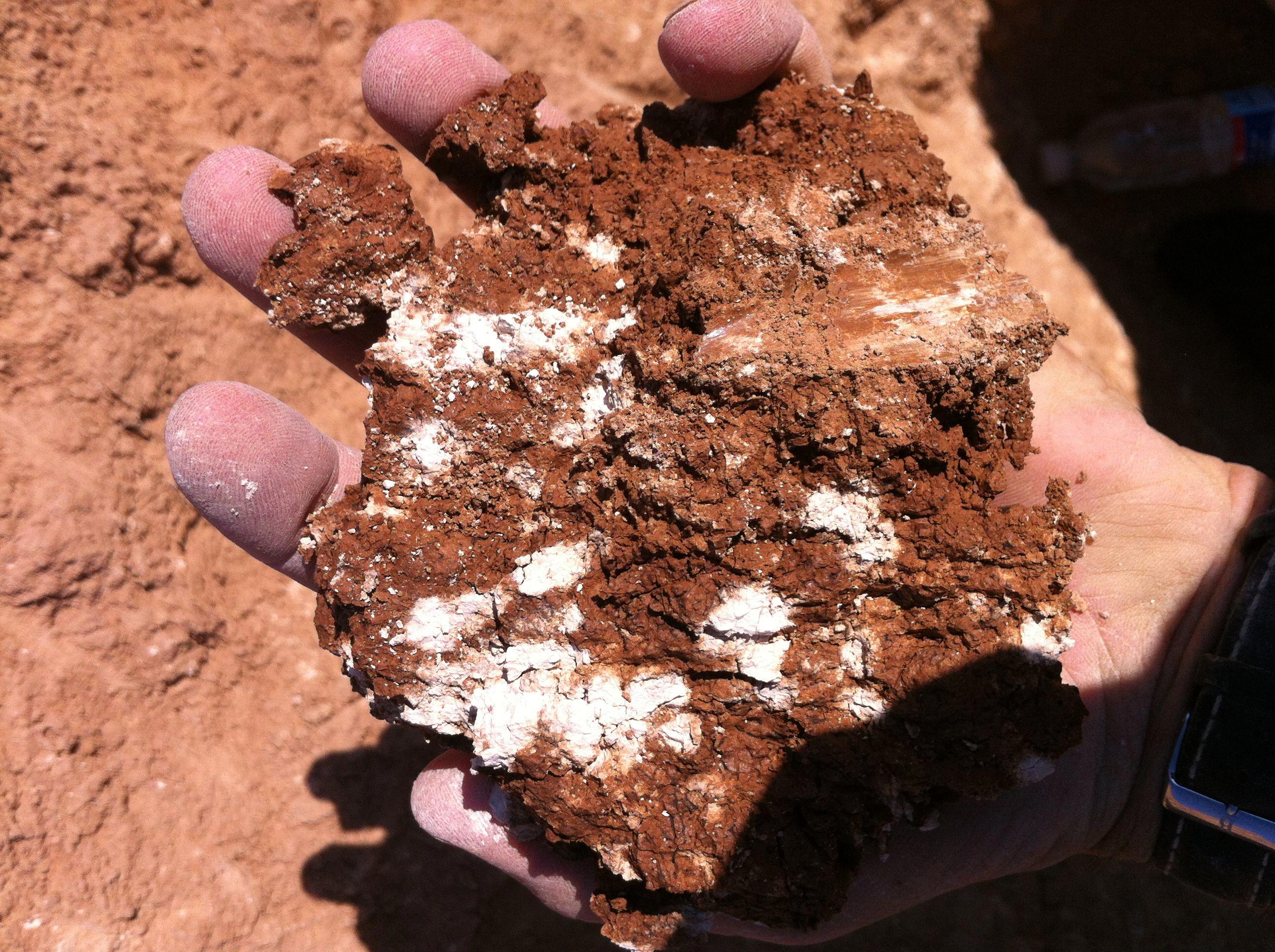 /media/pm5fike5/calcium-carbonate-concenctrations-in-desert-soil-jordan.jpg