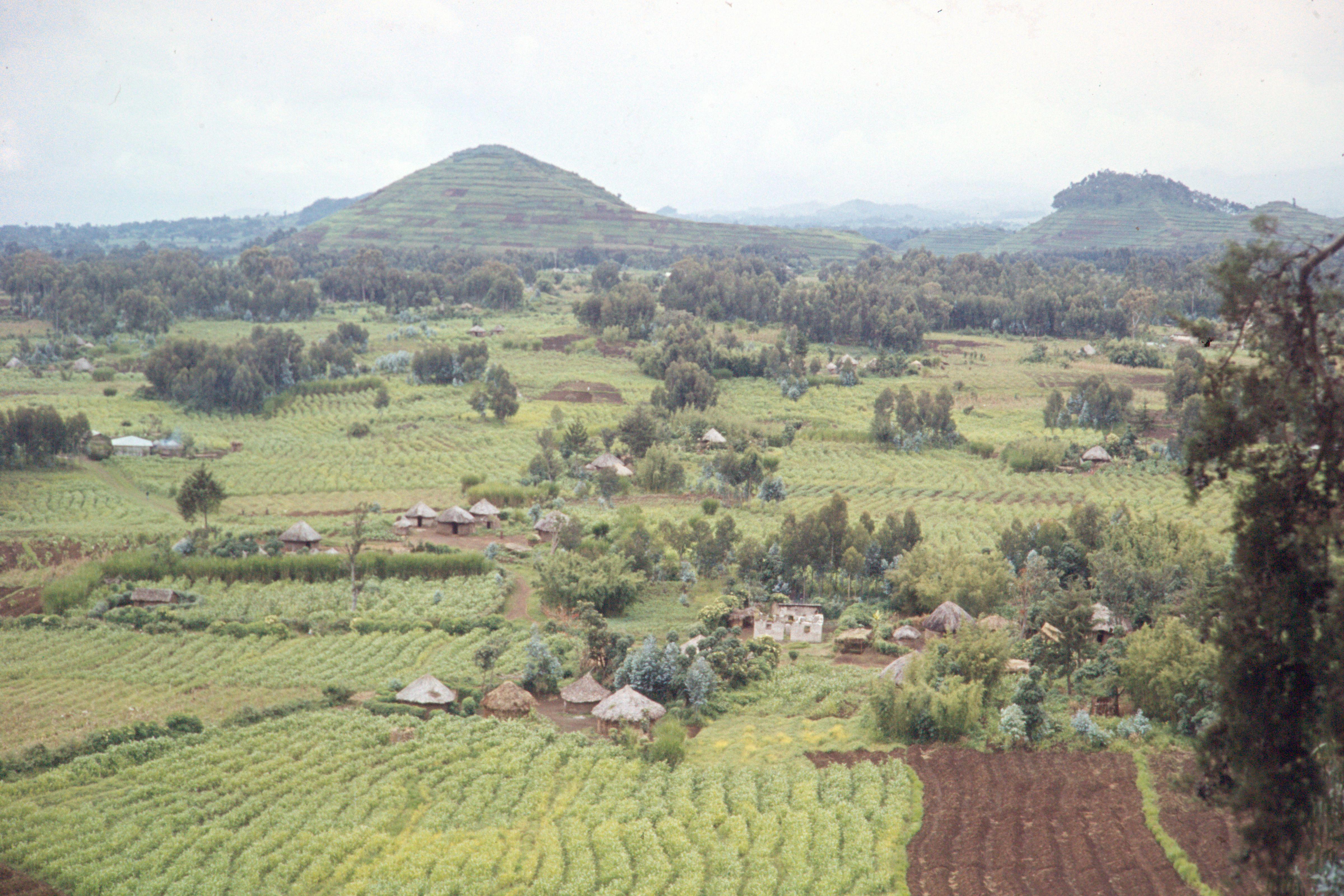 /media/qwlafijj/agricultural-landscape-with-traditional-rural-dwellings-rwanda.jpg