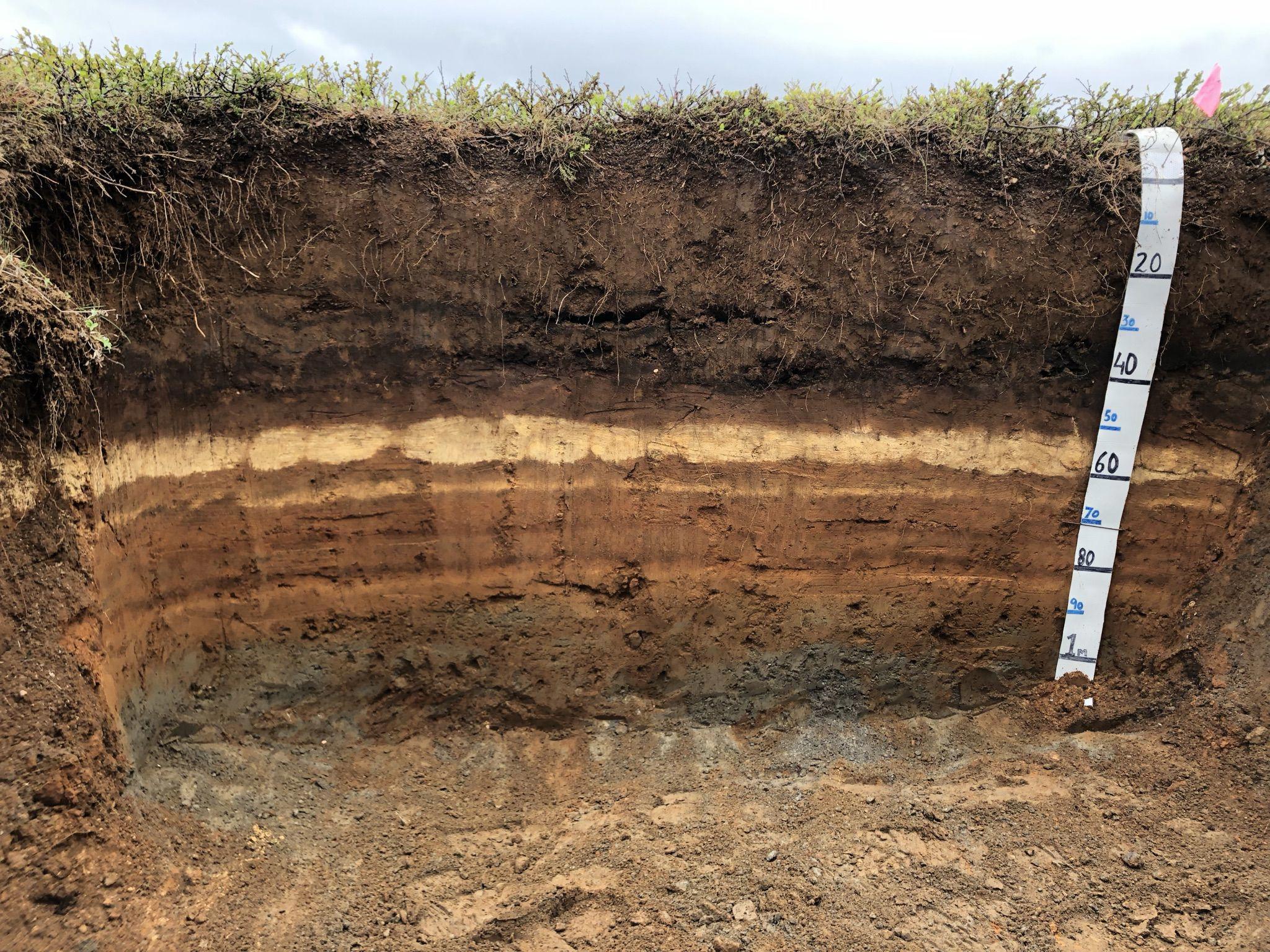 /media/tqcd20w3/layered-volcanic-soil-in-iceland.jpg