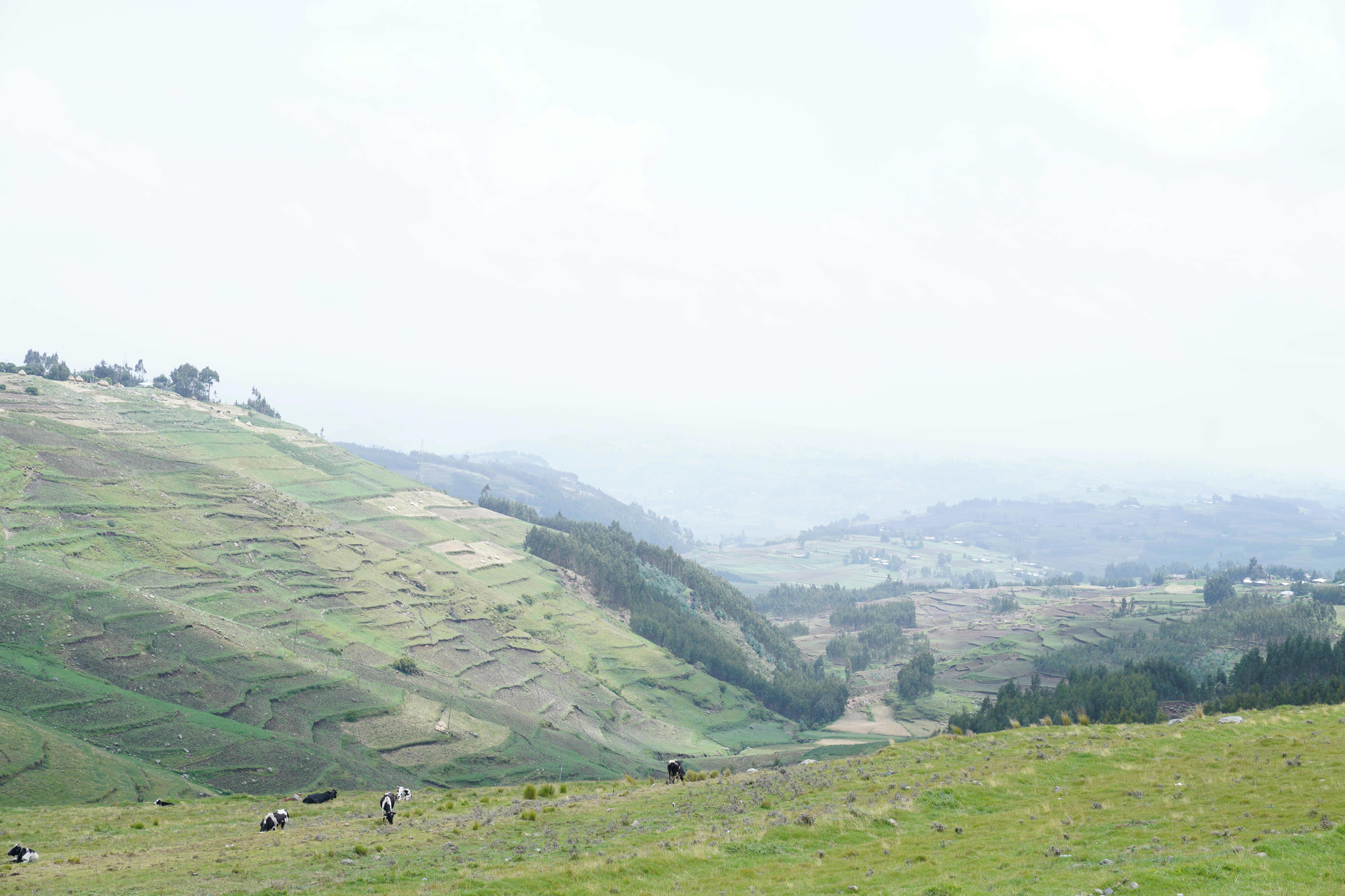 Integrating data and disciplines to advance sustainable land management