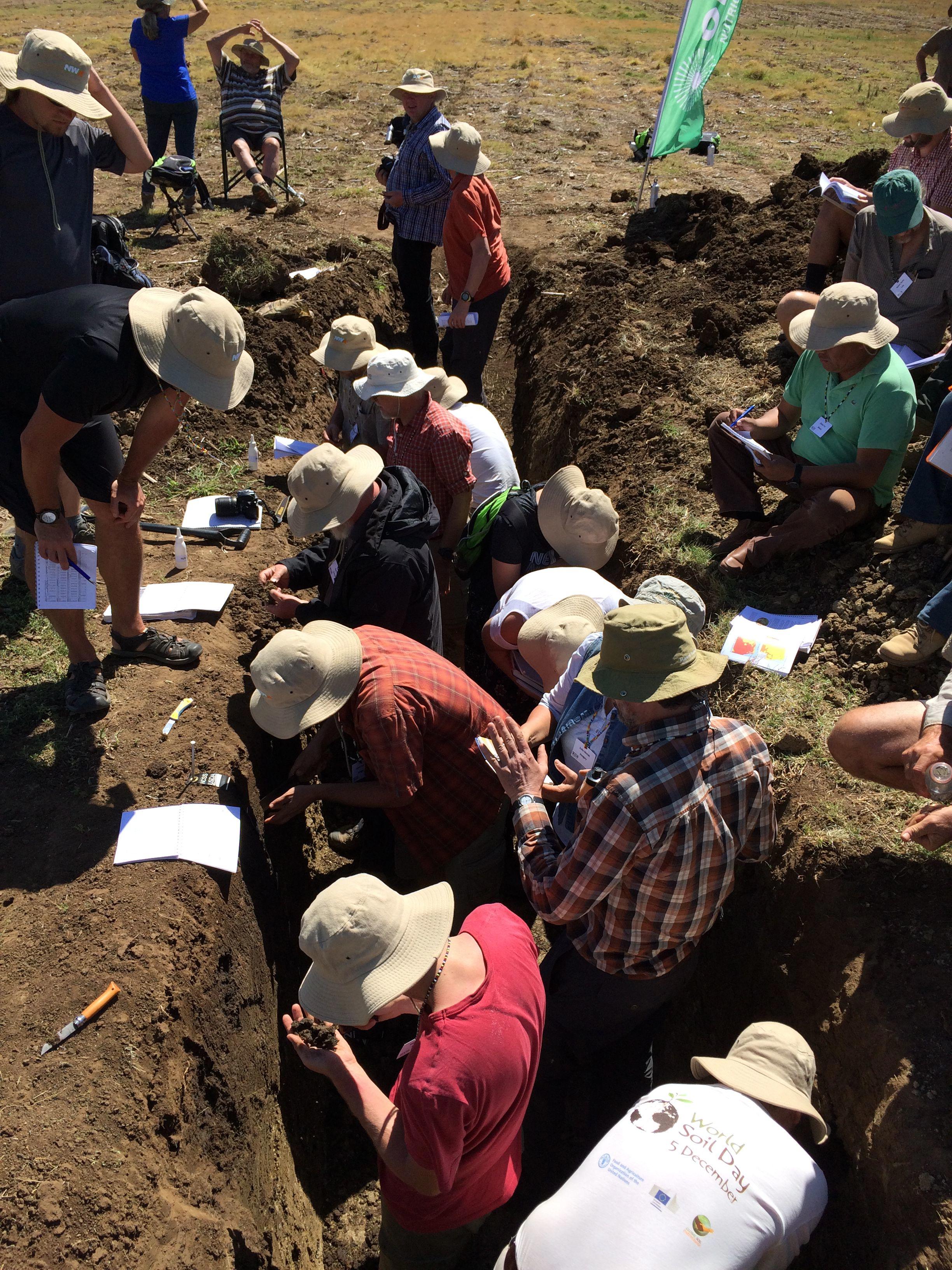 /media/ujqbdcjv/soil-scientists-studying-soil-in-a-pit-south-africa.jpg