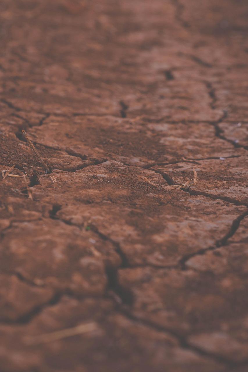 /media/wsrdj24l/cracked-soil-5914505_1280.jpg