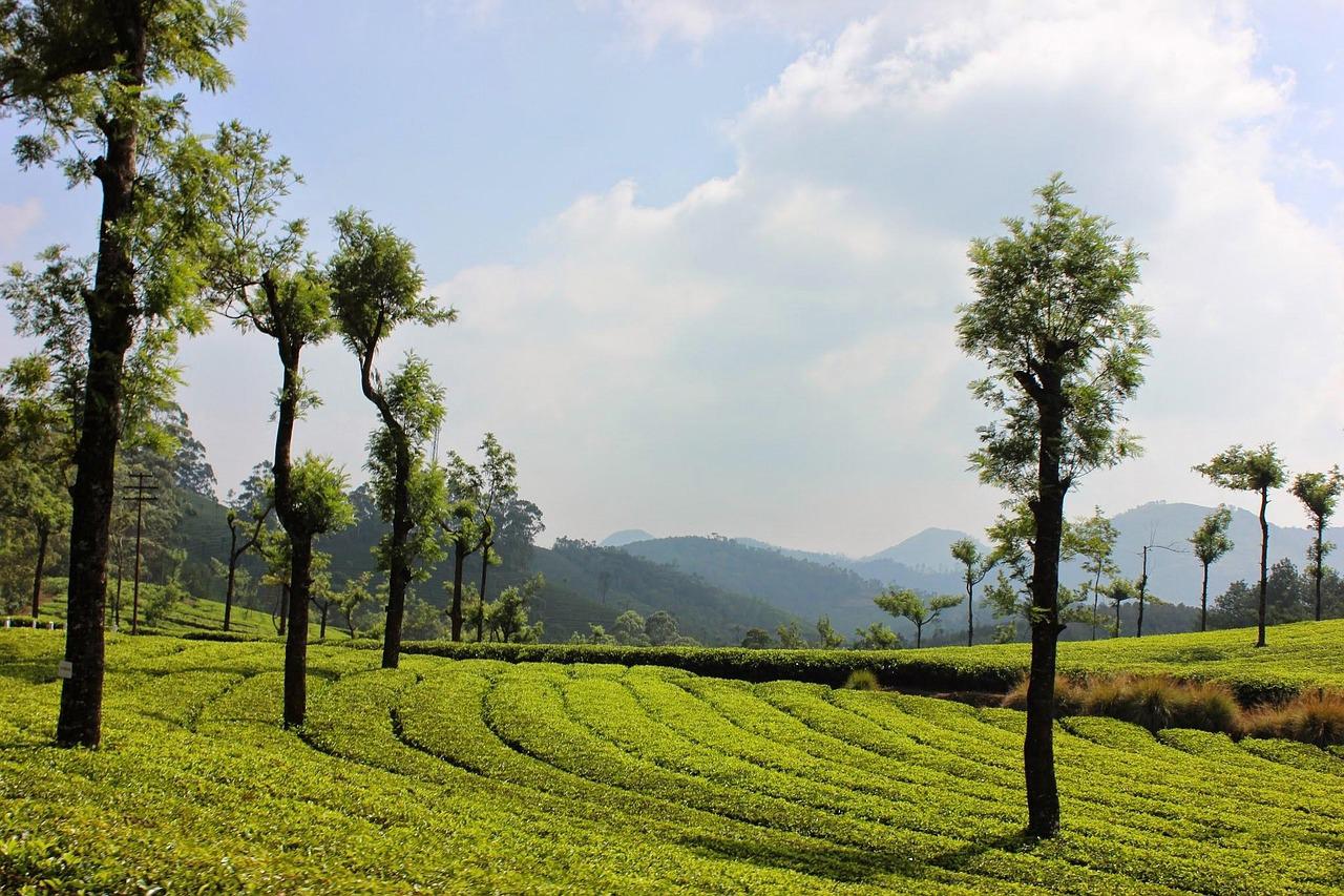 /media/wufhfqmb/landscape-3080146_640-image-by-rabia-rs-pixabayjpg.jpg